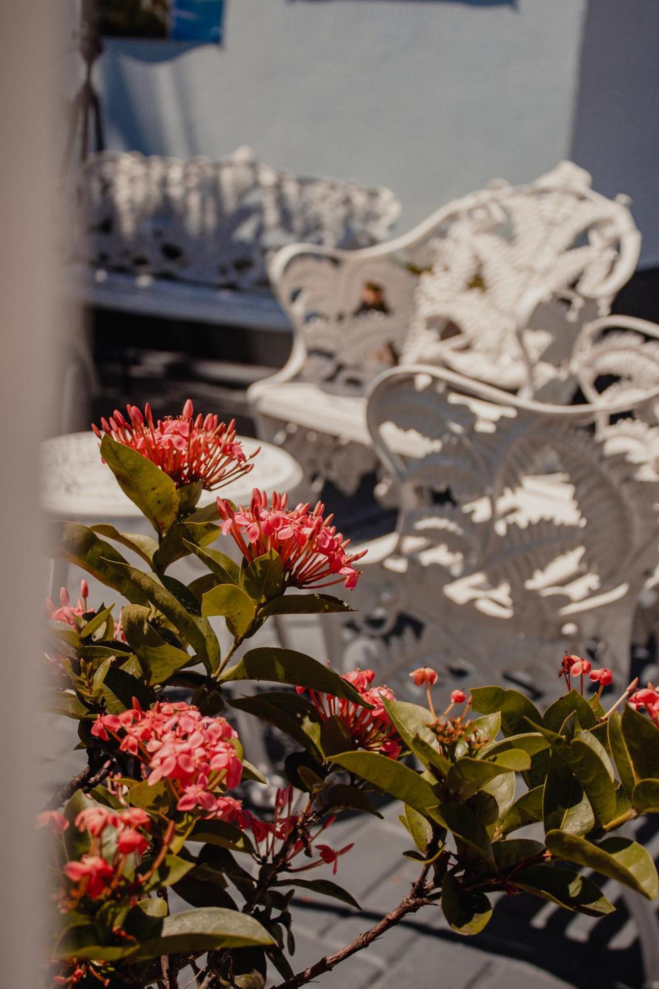 Pousada Iguassu Charm Suites Фос-ду-Іґуасу Екстер'єр фото